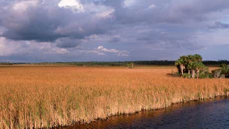 Everglades National Park Art