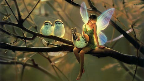 Fairy Art