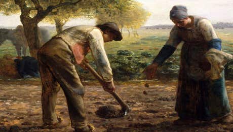 Farmer Art