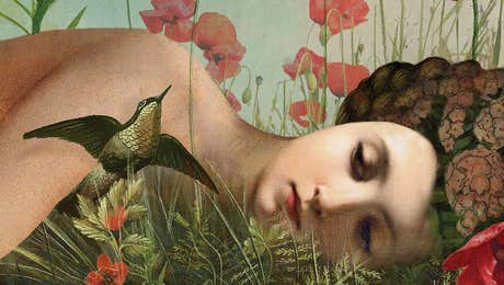 Floral Portrait Art