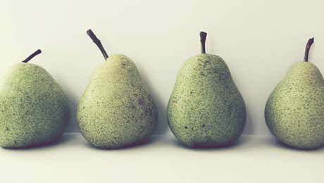 Food & Drink Still Life