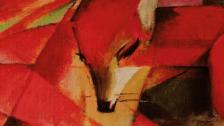 Fox Art