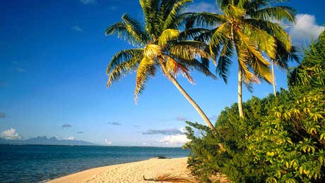 French Polynesia Art