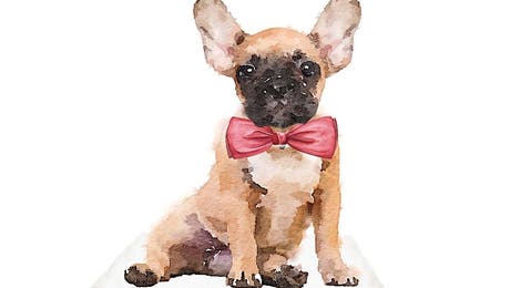 French Bulldog Art