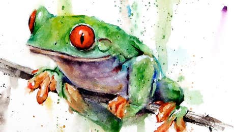Frog Art