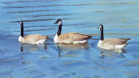 Goose Art