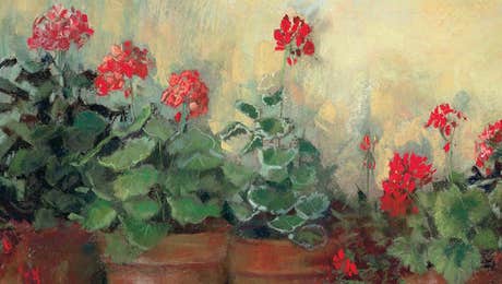 Geranium Art