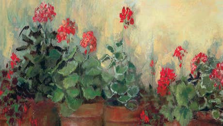 Geranium Art