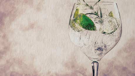 Gin & Tonic