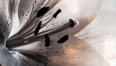 Glamour & Gleam Art LP Hero