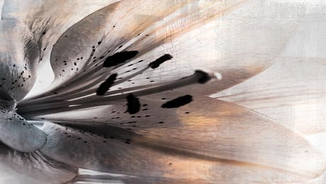 Glamour & Gleam Art LP Hero