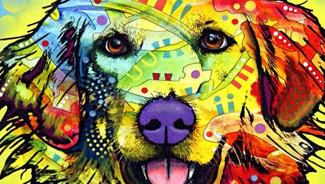 Golden Retriever Art