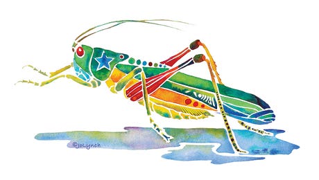 Grasshopper Art