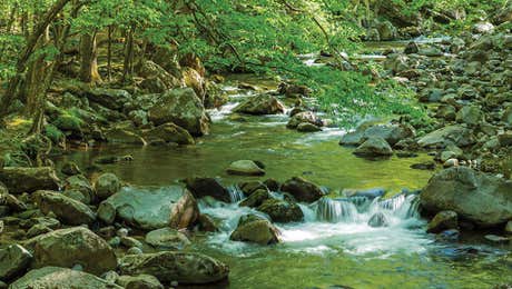 Great Smoky Mountains National Park Art