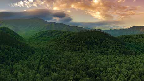 Great Smoky Mountain Art