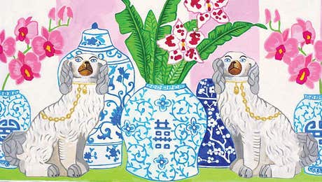 Green Orchid Boutique