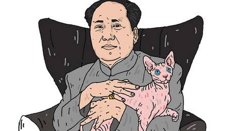 Hairless Cat Art