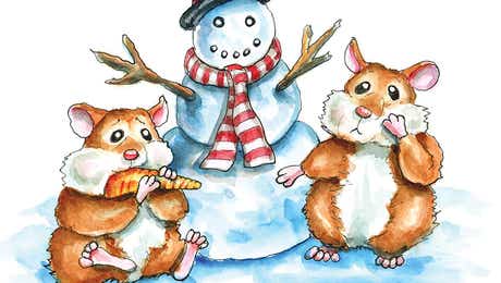 Hamsters