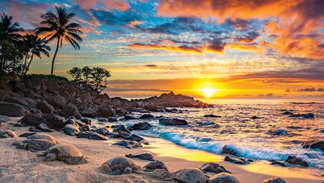 Hawaii Art