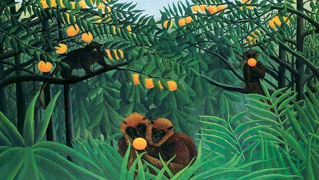 Henri Rousseau