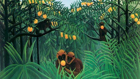 Henri Rousseau