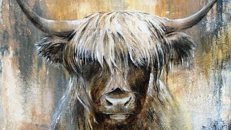 Highland Cow Wall Art