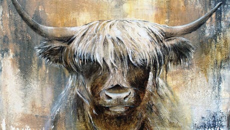 Highland Cow Wall Art