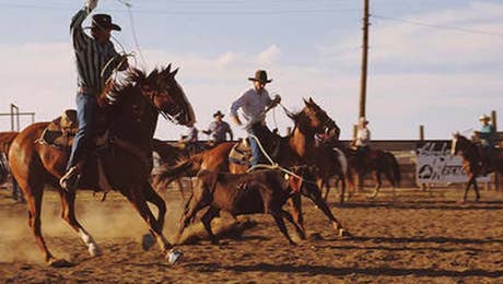 Horseback Art
