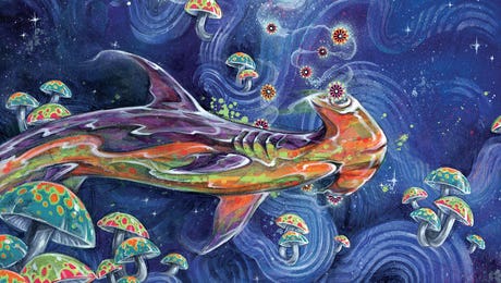 Illuminated Dreamscapes Art