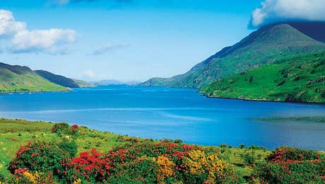 Irish Image Collection
