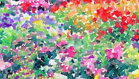 Jacqueline Maldonado