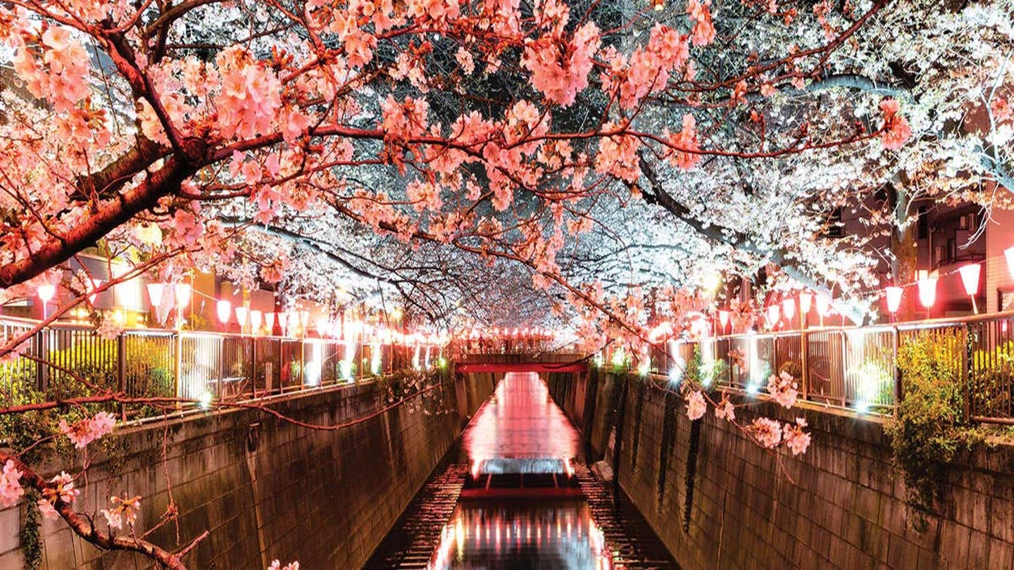 Japan Rising Sun - Canvas Prints & Wall Art | iCanvas
