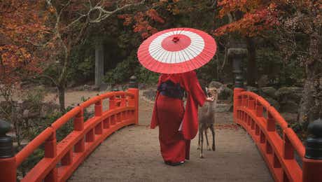 Japanese Culture