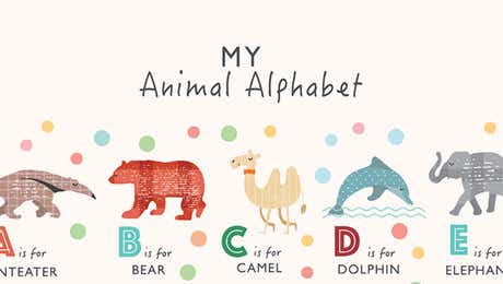 Kids Educational Art