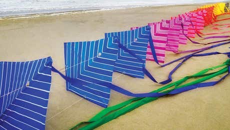 Kites