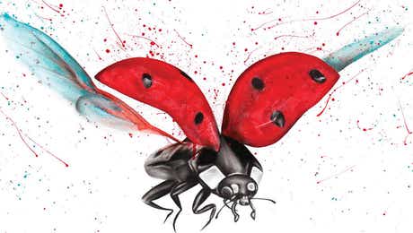 Ladybug Art