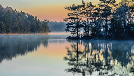 Lake Art