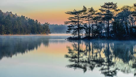 Lake Art