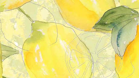 Lemon & Lime Art