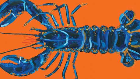 Lobster Art