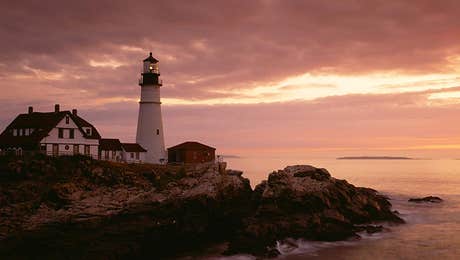 Maine Art