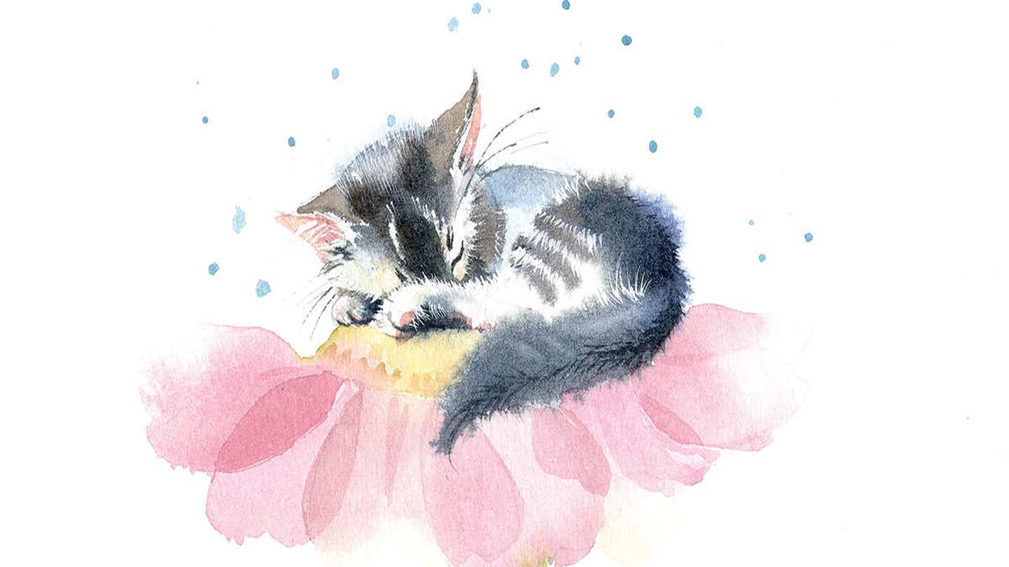 Тайвандық поптармен және басқа экзотикалармен жыныстық қатынас көрсететін порно сайттар