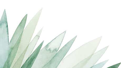 Minimalist Bohemian Decor