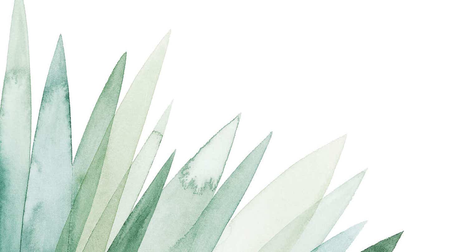 View of Minimalist Bohemian Decor - Canvas Prints & Wall Art | iCanvas