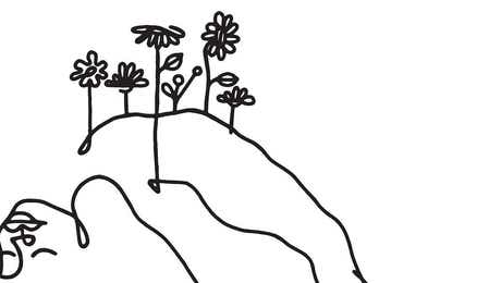 Minimalist Flowers