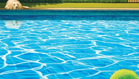 The Modern Man's Best Friend