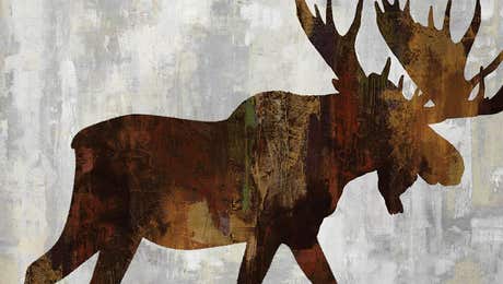 Moose Art