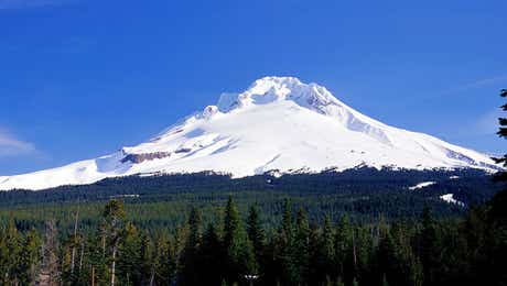 Mount Hood Art