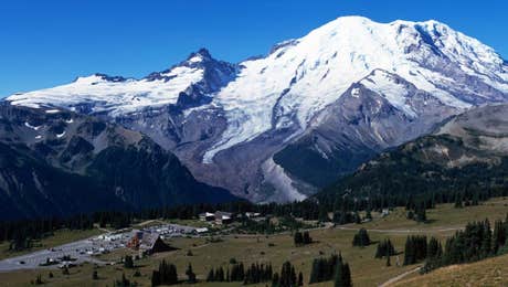 Mount Rainier National Park Art
