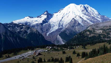 Mount Rainier National Park Art